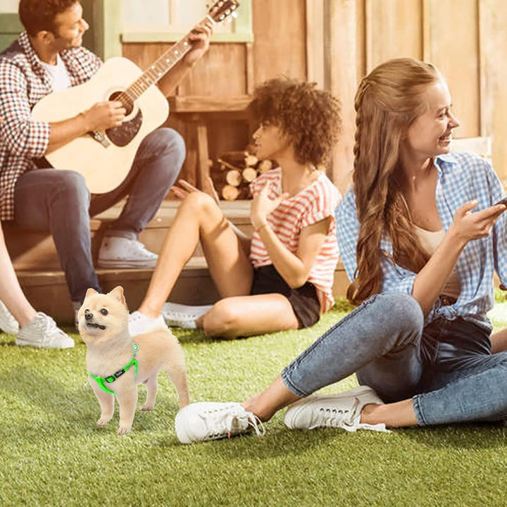 Pupteck zerrfreies Hundegeschirr, weich, verstellbar, Nylon, Step-in-Hundegeschirr für das Outdoor-G