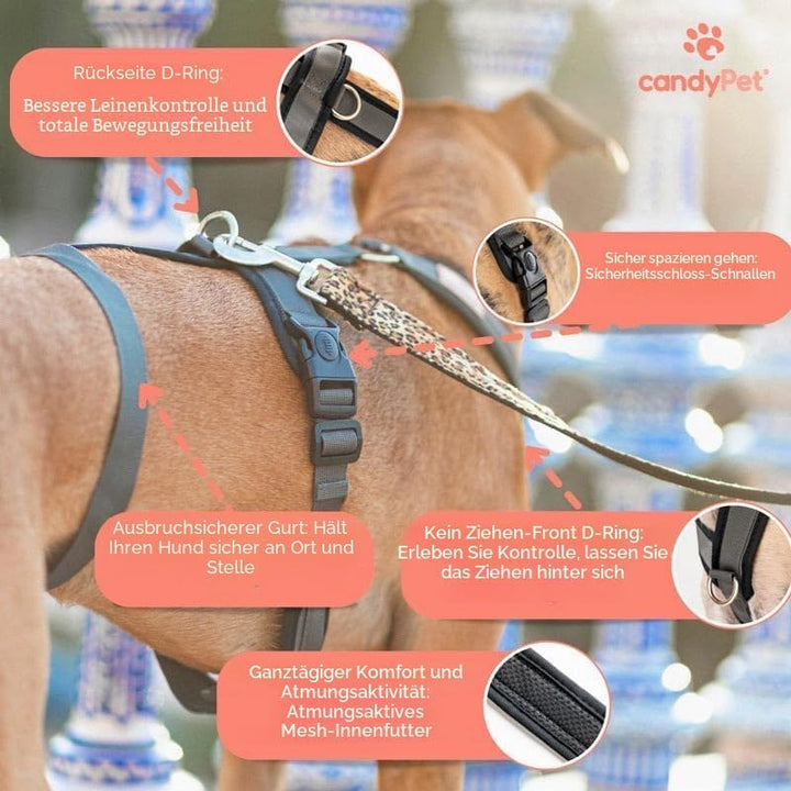 3-Punkt-Gurt mit Anti-Ziehen, ideal für Lebreles: Italienischer Windhund, Whippet, Windhund, Podenco