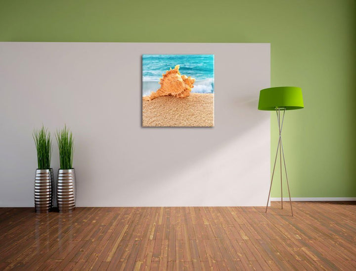 Muschel am Strand, Format: 70x70 auf Leinwand, XXL riesige Bilder fertig gerahmt mit Keilrahmen, Kun