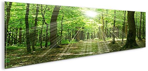 islandburner Bild Bilder auf Leinwand Sonnenstrahlen im Wald Bäume Spaziergang Panorama XXL Poster L