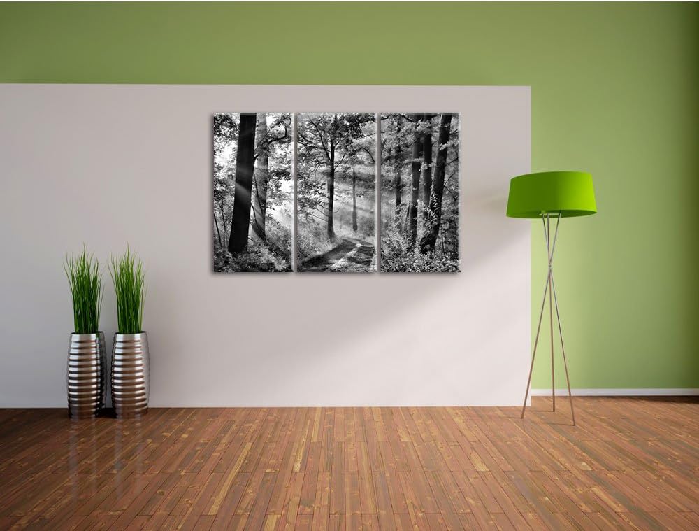 Pixxprint Monocrome, Waldweg im Winter 3-Teiler Leinwandbild 120x80 Bild auf Leinwand