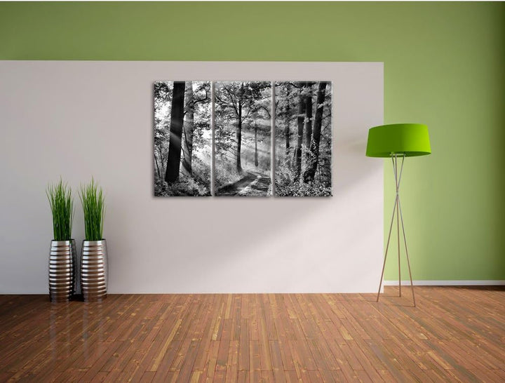 Pixxprint Monocrome, Waldweg im Winter 3-Teiler Leinwandbild 120x80 Bild auf Leinwand