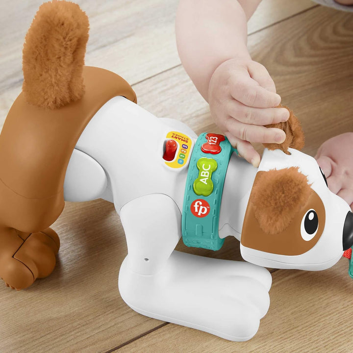 123 Crawl with Me Puppy