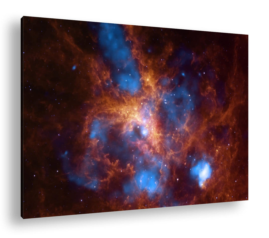 deyoli Tarantel Nebel Format: 80x60 als Leinwand, Motiv fertig gerahmt auf Echtholzrahmen, Hochwerti