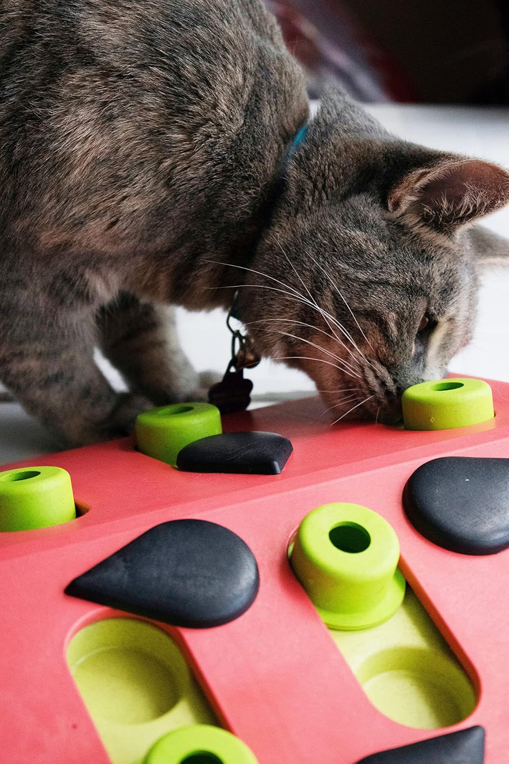 Nina Ottosson von Petstages Melon Madness Puzzle & Play - Leckerli-Denkspiel für Katzen - interaktiv
