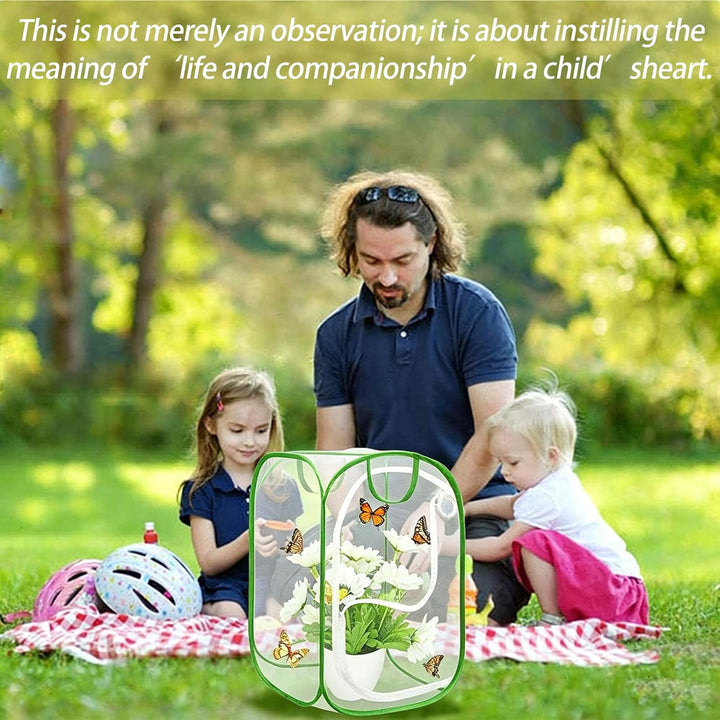 Insekt Und Schmetterling Habitat Käfig, Zusammenklappbares Schmetterlingshaus, Mesh Terrarium Pop-Up