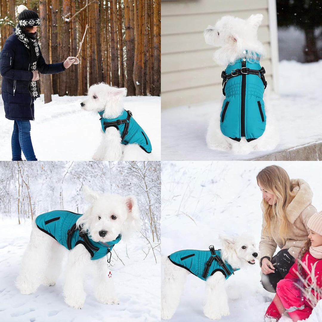 Savlot Warmer Hundemantel wasserdichte Hundejacke Gemütliche Hunde- und Katzen-Schneejacke Reissvers
