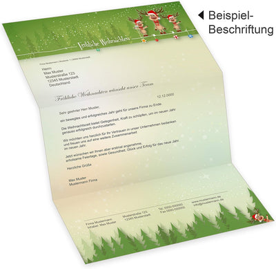 NEU Rentiere 25 Sets Weihnachtsbriefpapier mit Umschlag ohne Fenster, Weihnachtspapier Briefpapier w