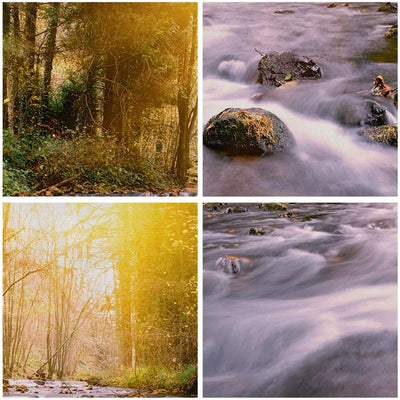 Wandbilder Dekoration Wohnzimmer Herbst Wald Berg Fluss Panorama Bilder auf Leinwand 120x50cm Leinwa