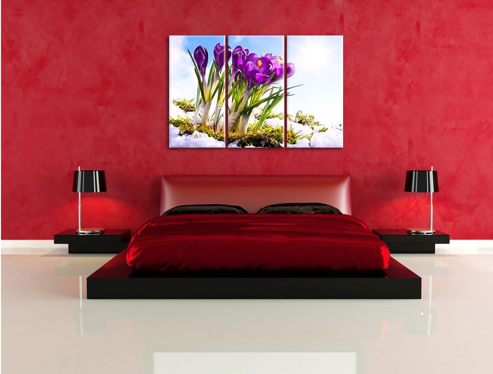 Pixxprint Kunst Frühling Flower Hintergrund / 3-Teilig/Gesamtmass 120cm Leinwandbild bespannt auf Ho
