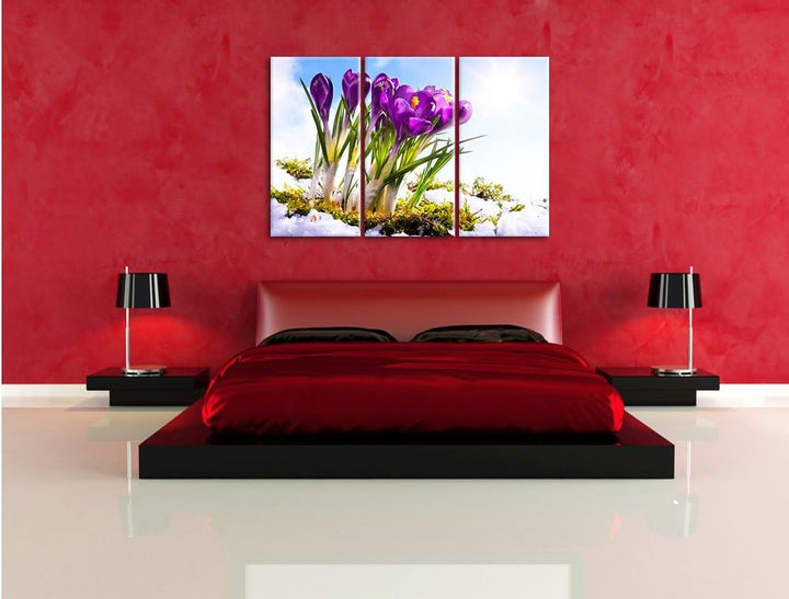 Pixxprint Kunst Frühling Flower Hintergrund / 3-Teilig/Gesamtmass 120cm Leinwandbild bespannt auf Ho