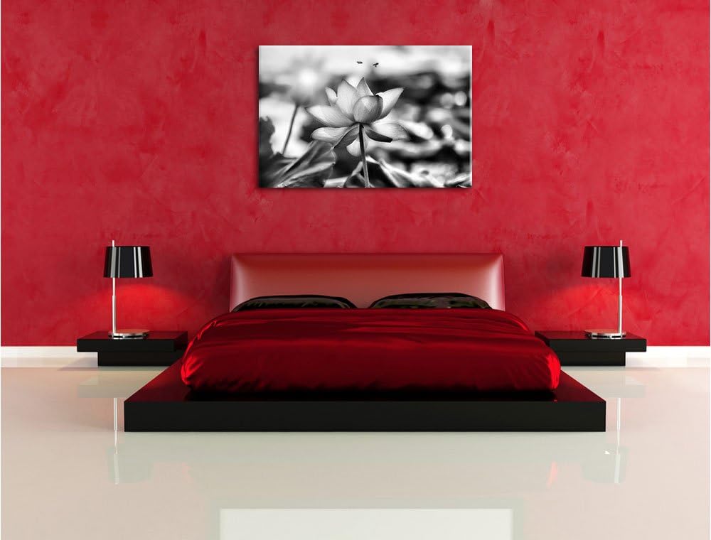 Pixxprint Lotus im Abendlicht / 100x70cm Leinwandbild bespannt auf Holzrahmen/Wandbild Kunstdruck De