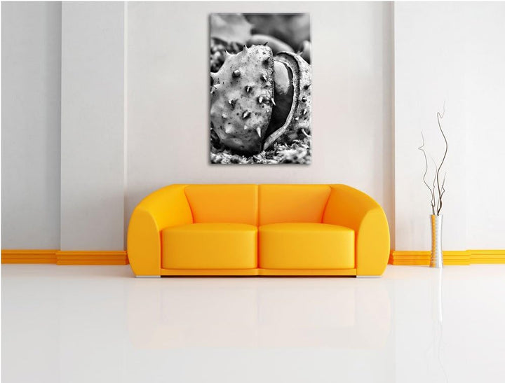 Pixxprint Monocrome, Erste Kastanie öffnet Sich, Format: 100x70 auf Leinwand, riesige Bilder fertig