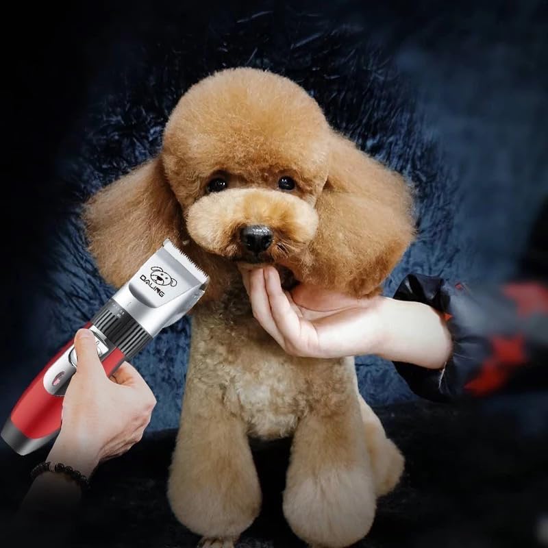 Leise und leistungsstarke Tierhaarschneidemaschine Schermaschine für Hunde und Katzen - Schnurlos un