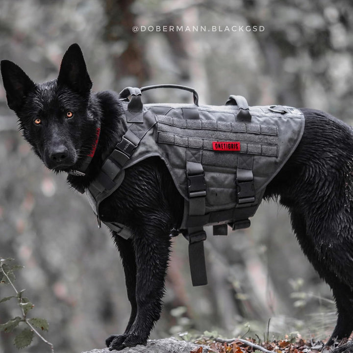 OneTigris Hundegeschirr, X Destroyer Taktisches Einstellbar Antizuggeschirr Ausbruchsicheres Geschir