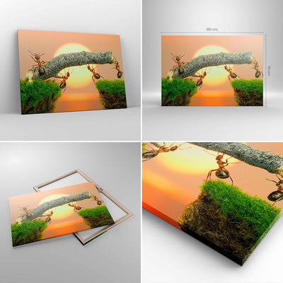 Bilder auf Leinwand 100x70cm Leinwandbild Tiere Ameisen Brücke Natur Gross Wanddeko Bild Schlafzimme