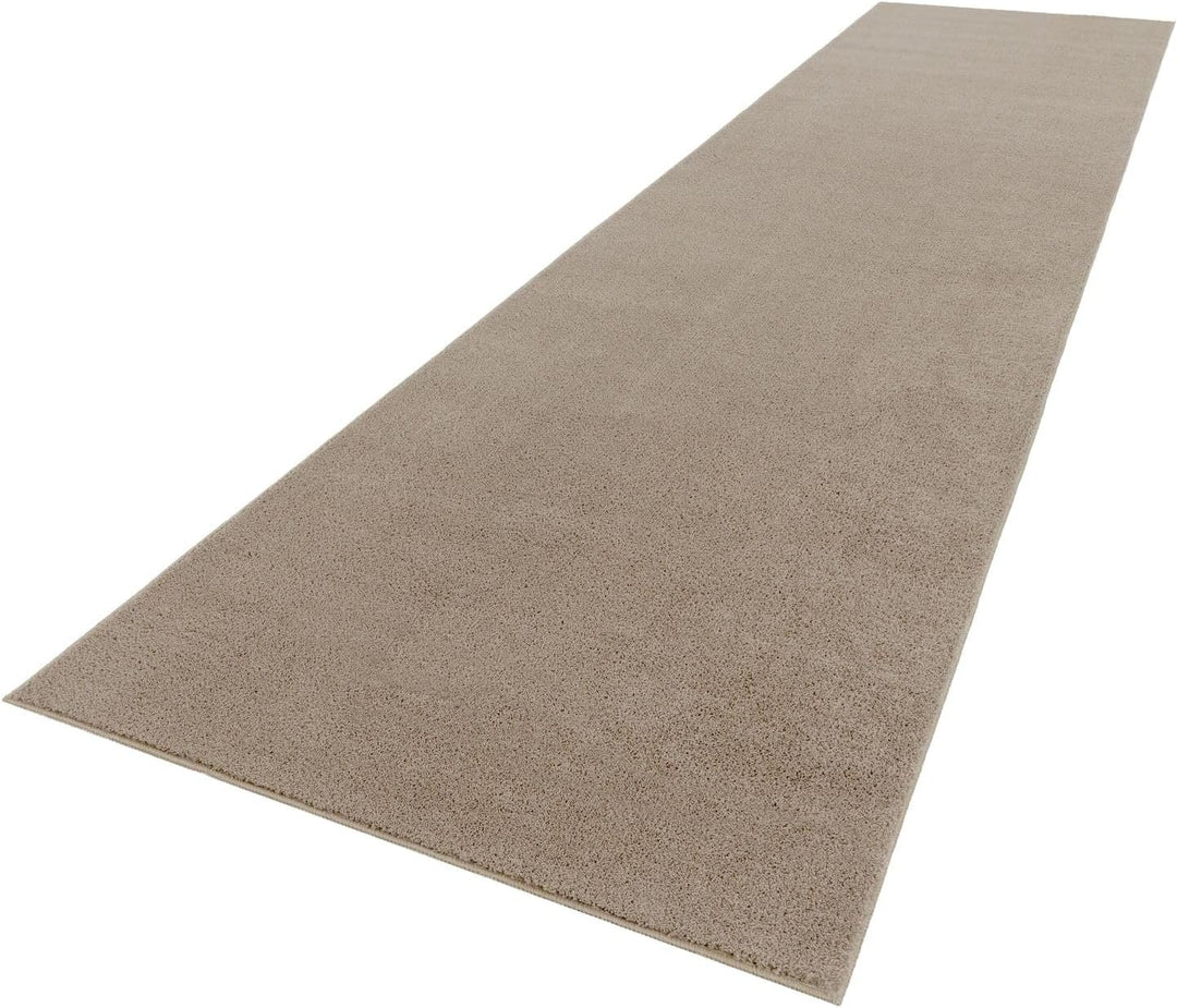 TT Home Wohnzimmer Teppich Kurzflor Anti-Rutsch Rückseite Unifarben Modern Waschbar, Farbe:Taupe, Gr