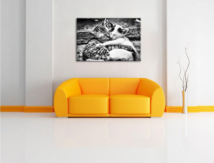 Pixxprint Liebende Kätzchen als Leinwandbild/Grösse: 100x70 cm/Wandbild/Kunstdruck/fertig bespannt,