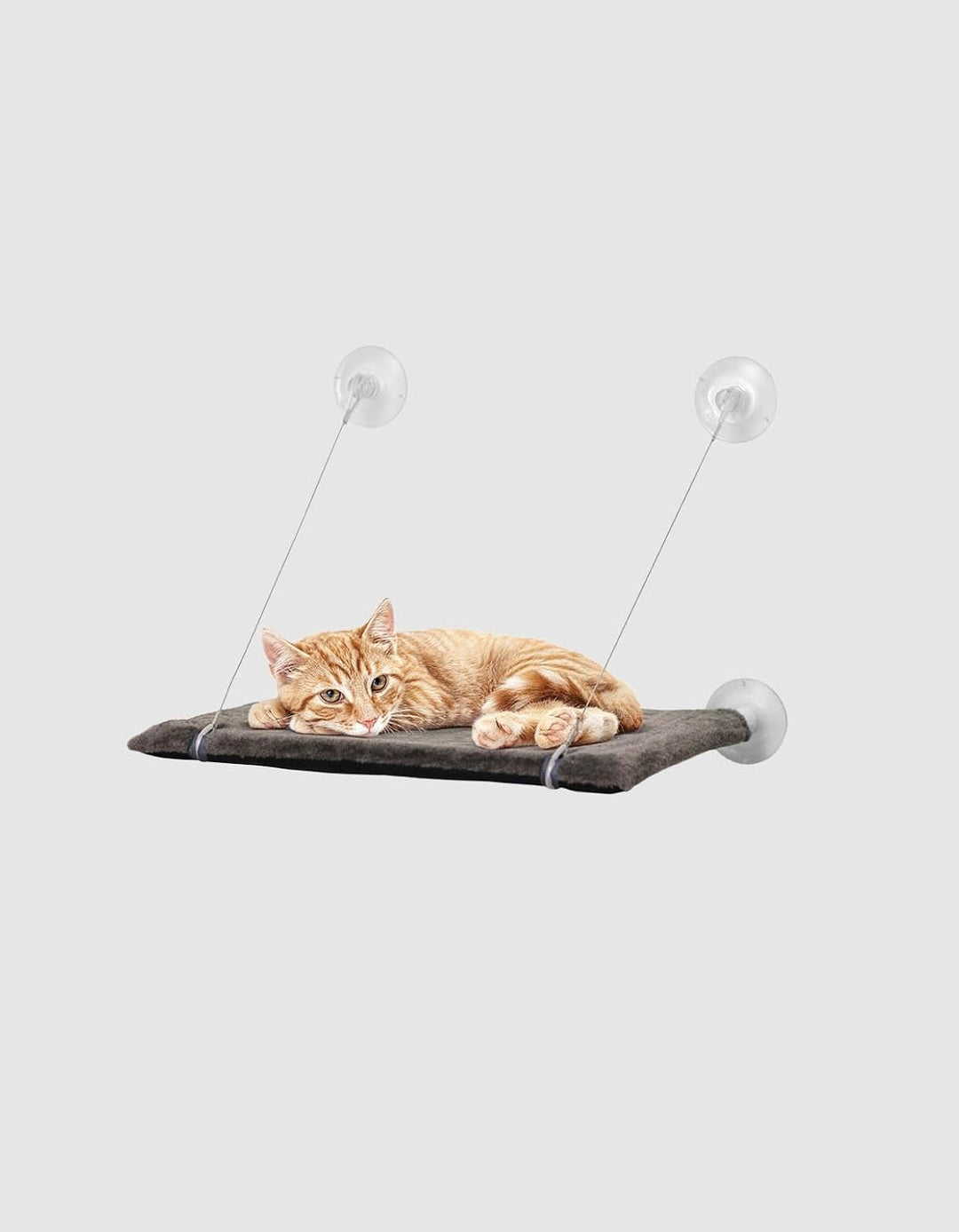 Cat View - Hängematte mit Fenster für Katzen