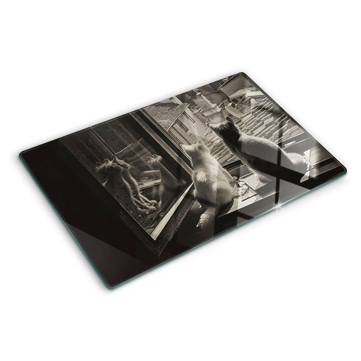 Schneidebretter Glas 80x52 cm Antibakteriell Dünn Glasplatte für die Küche Rutschfest Silikonfüsse D