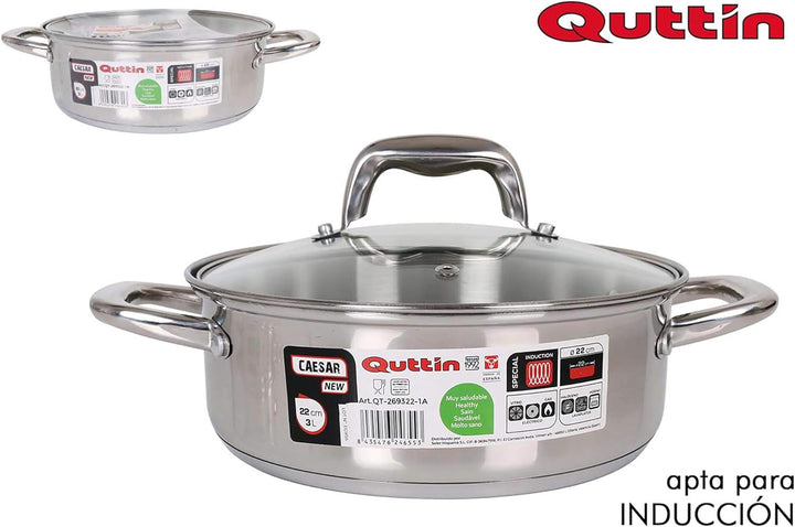 Quttin New Caesar Kochtopf, Silber, 22 cm