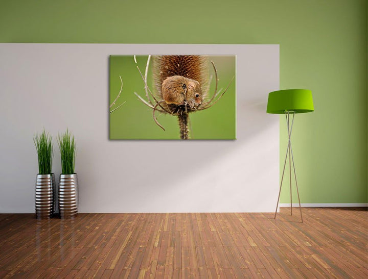 kleine Feldmaus, Format: 100x70 auf Leinwand, XXL riesige Bilder fertig gerahmt mit Keilrahmen, Kuns