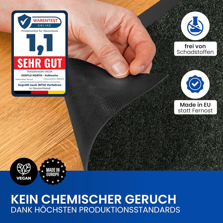 Gentle North Hochwertige Fussmatte grün 60x80 gross für Innen & Aussen - Schmutzfangmatte rutschfest