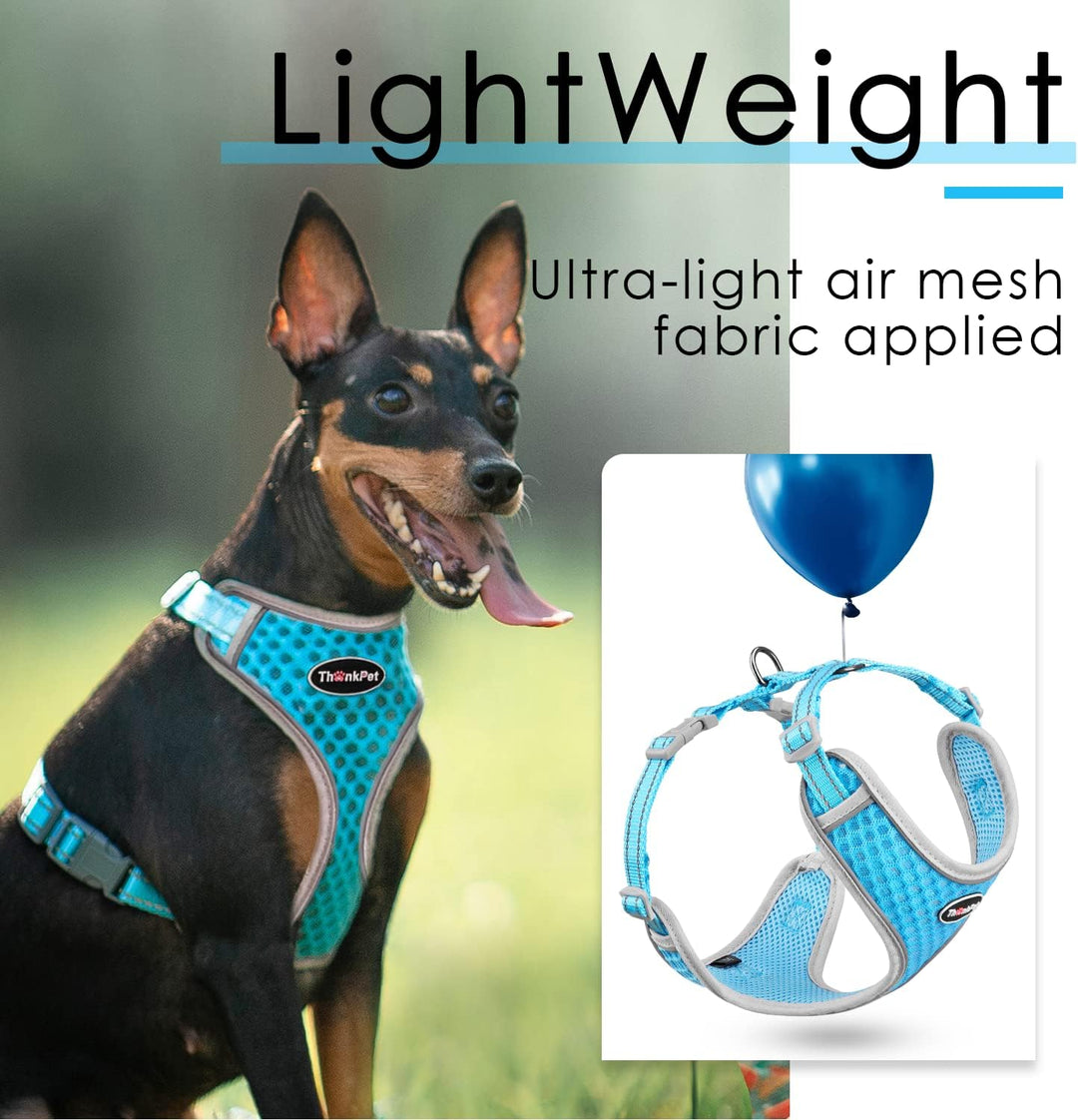 ThinkPet No-Pull Hundegeschirr Leine Set, Atmungsaktiv Brustgeschirr für Kleine Mittlere Grosse Hund
