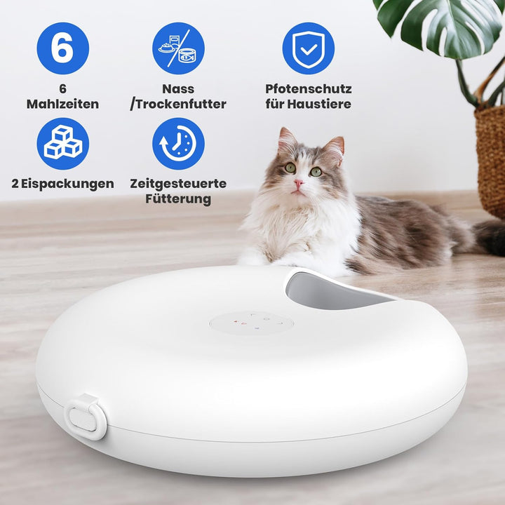 Futterautomat Katze Nassfutter,6 Mahlzeiten Nassfutterautomat für Katzen mit 2 Eispackungen WiFi App