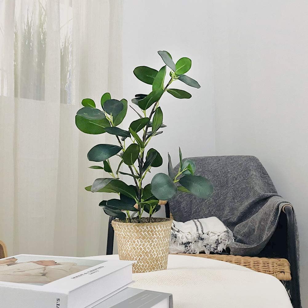 SAROSORA Künstlicher Ficus-Baum, künstliche Pflanzen in gewebtem Topf, 50,8 cm Höhe, für Wohnzimmer,