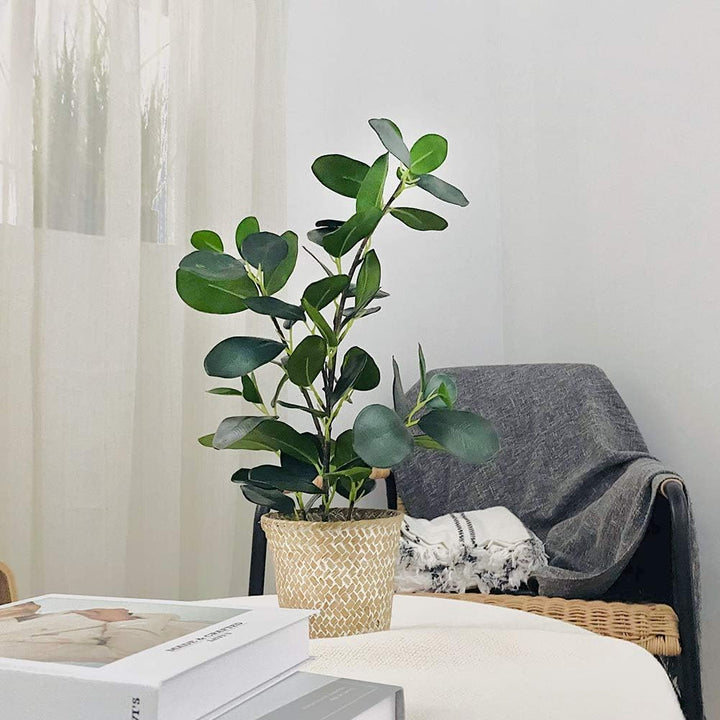 SAROSORA Künstlicher Ficus-Baum, künstliche Pflanzen in gewebtem Topf, 50,8 cm Höhe, für Wohnzimmer,