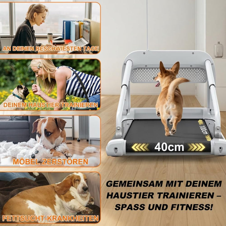 Smartes Ruhiges Hundelaufband Verstellbare Geschwindigkeit Sicher Für Kleine Mittelgrosse Hunde Haus