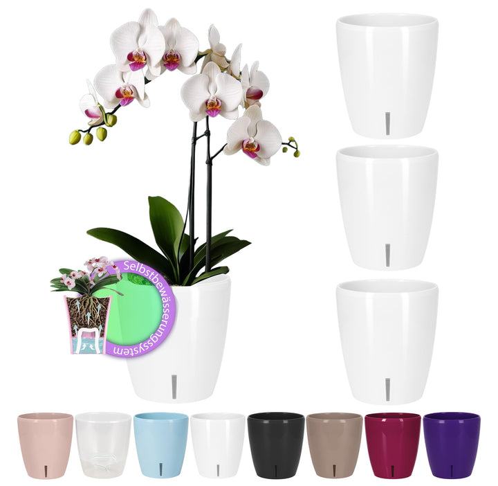 Santino 4er-Set Orchideentopf D 15cm Selbstbewässernder Topf mit Dochtsystem und Wasserstandsanzeige
