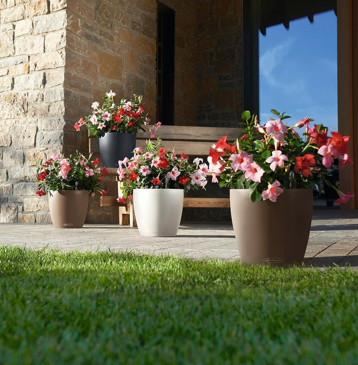 LECHUZA CLASSICO Color 35 muskat 13223 36x36x32.5 cm Muskat, 36x36x32.5 cm Muskat