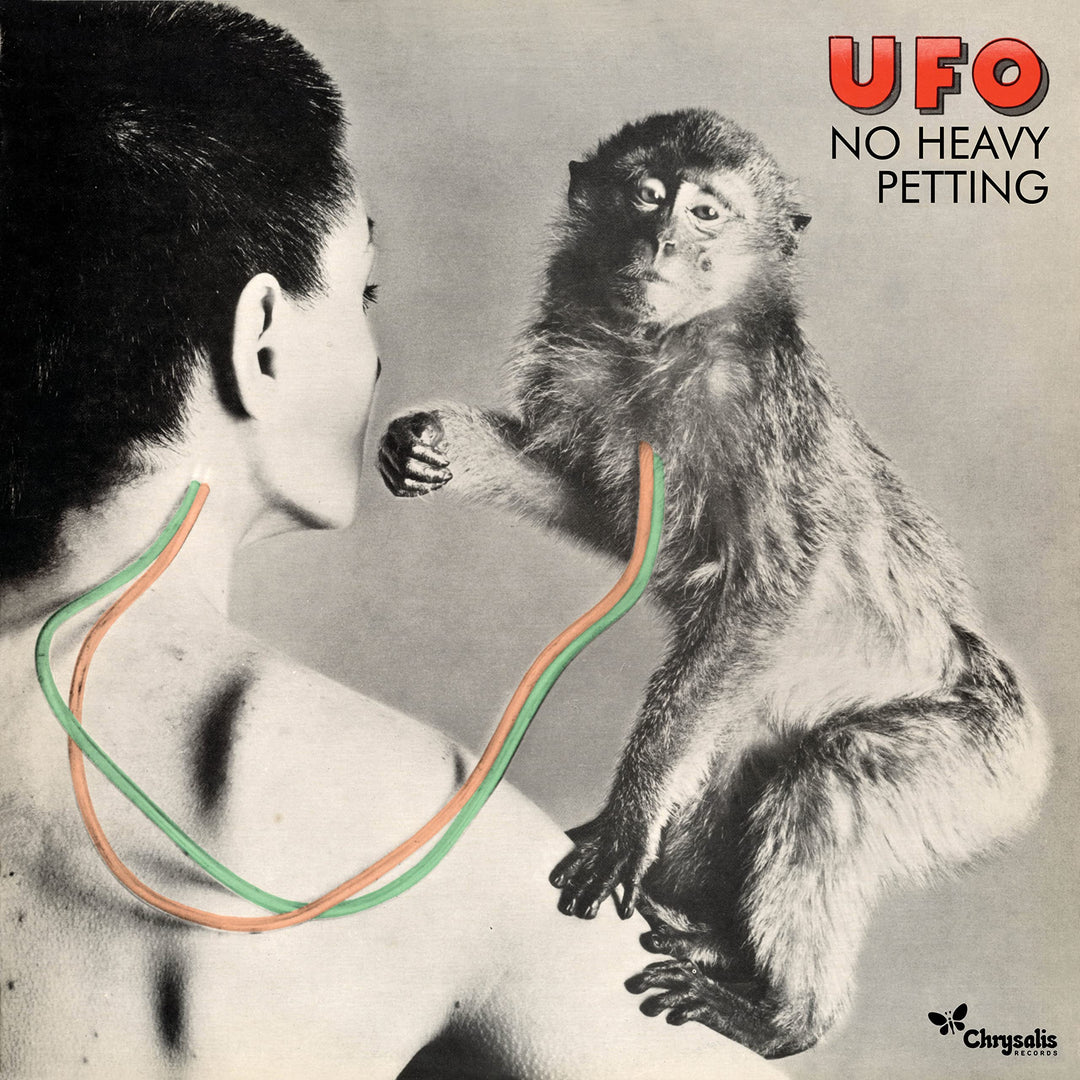 No Heavy Petting, Vinyl