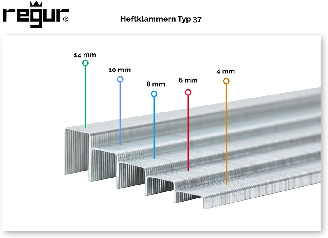 REGUR Typ 37 Feindraht-Klammern verzinkt - 5.000 Stück in der Länge 37/14 mm – Heftklammern zum Befe