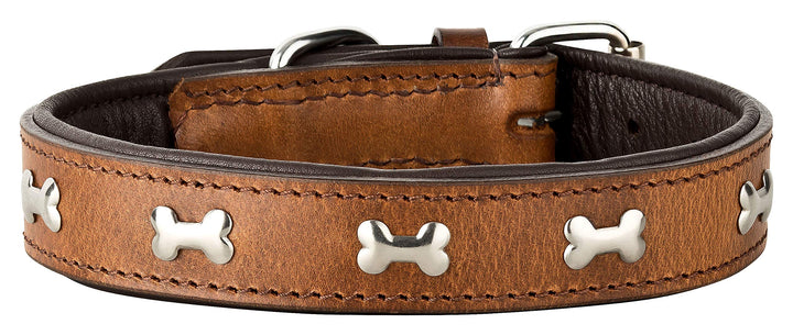 Schnüffelfreunde Lisa Halsband für Hunde aus Leder mit Applikation, Hundehalsband für den grossen un