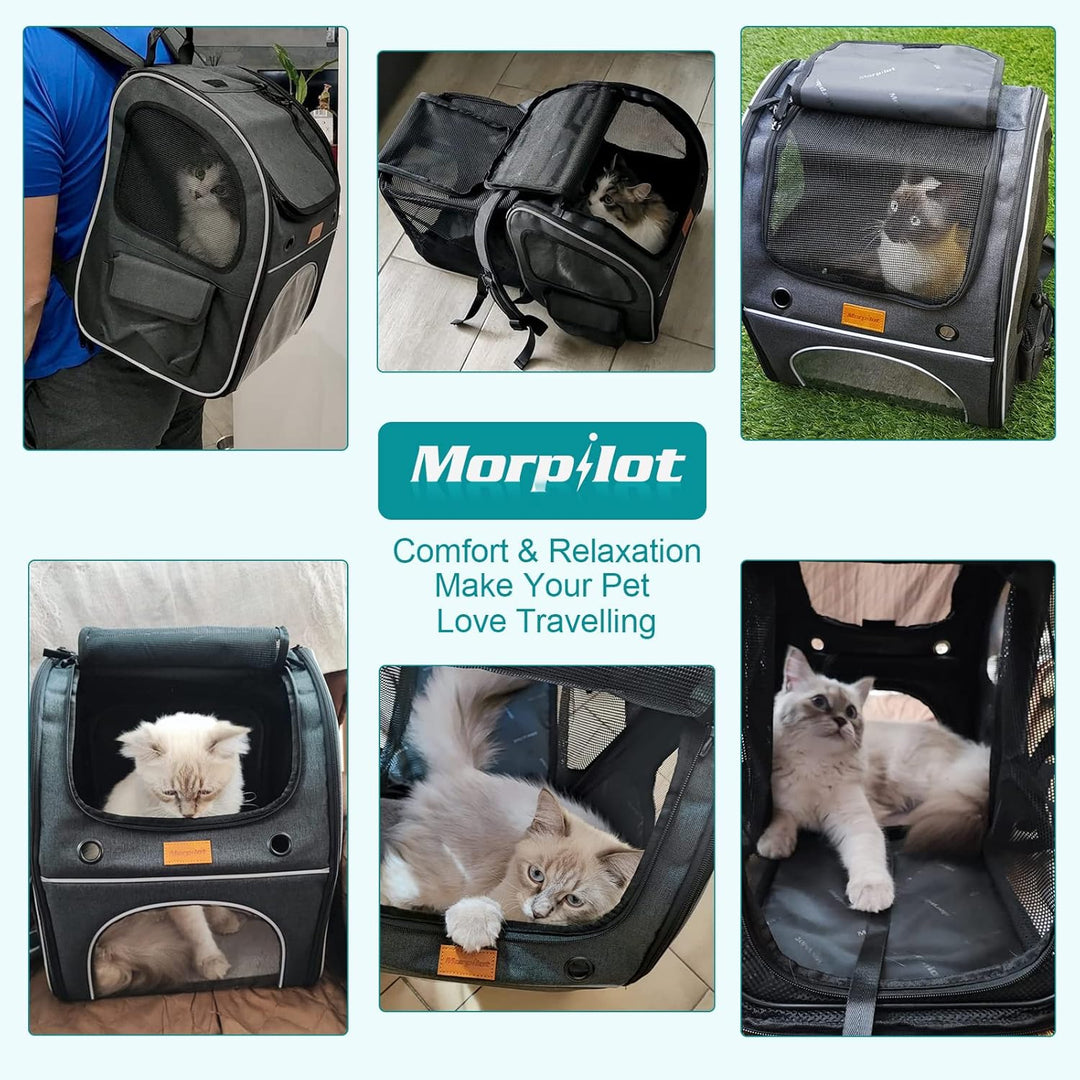 Morpilot Erweiterbar Katzenrucksack Grosse Katzen, Hunderucksack bis 8 kg Katzen Rucksack Gross für