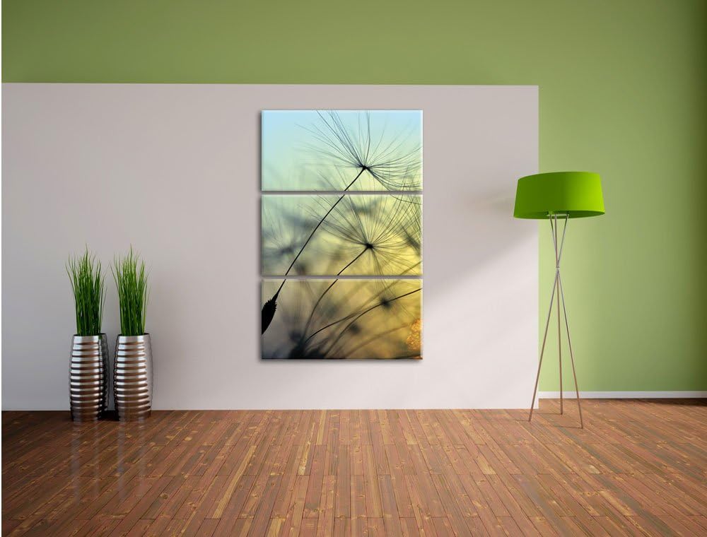 Pixxprint Pusteblumen mit Tautropfen als Leinwandbild/Grösse: 3 Teilig (120x80) cm/Wandbild/Kunstdru