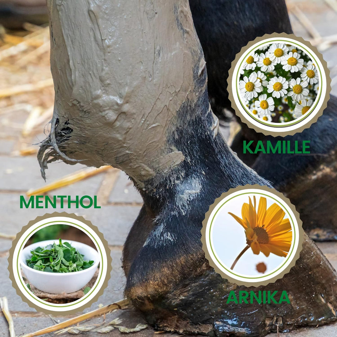 EMMA Tonerde Pferd ⇒ Essigsaure Tonerde Pferde Pferdebalsam Kühlend - Paste Mit Arnika Salbe Mineral