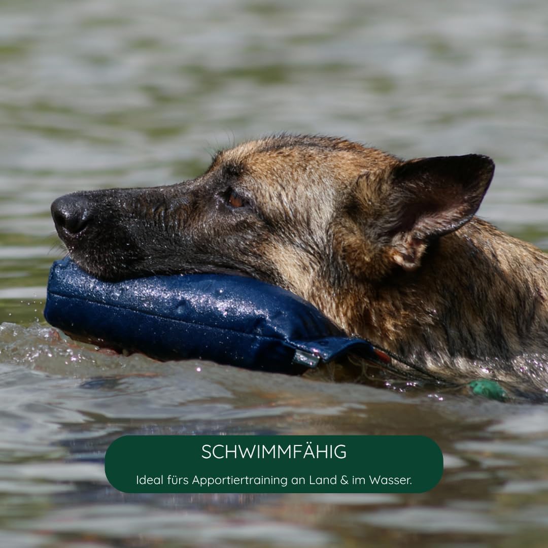Romneys Hundetraining Dummy 500g - Robust & Schwimmfähig, Apportierprüfungen Zugelassen - Ideal für