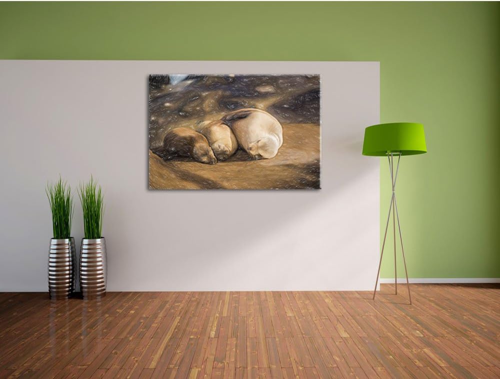 Pixxprint Familie Seelöwen in der Sonne als Leinwandbild/Grösse: 100x70 / Wandbild/Kunstdruck/fertig