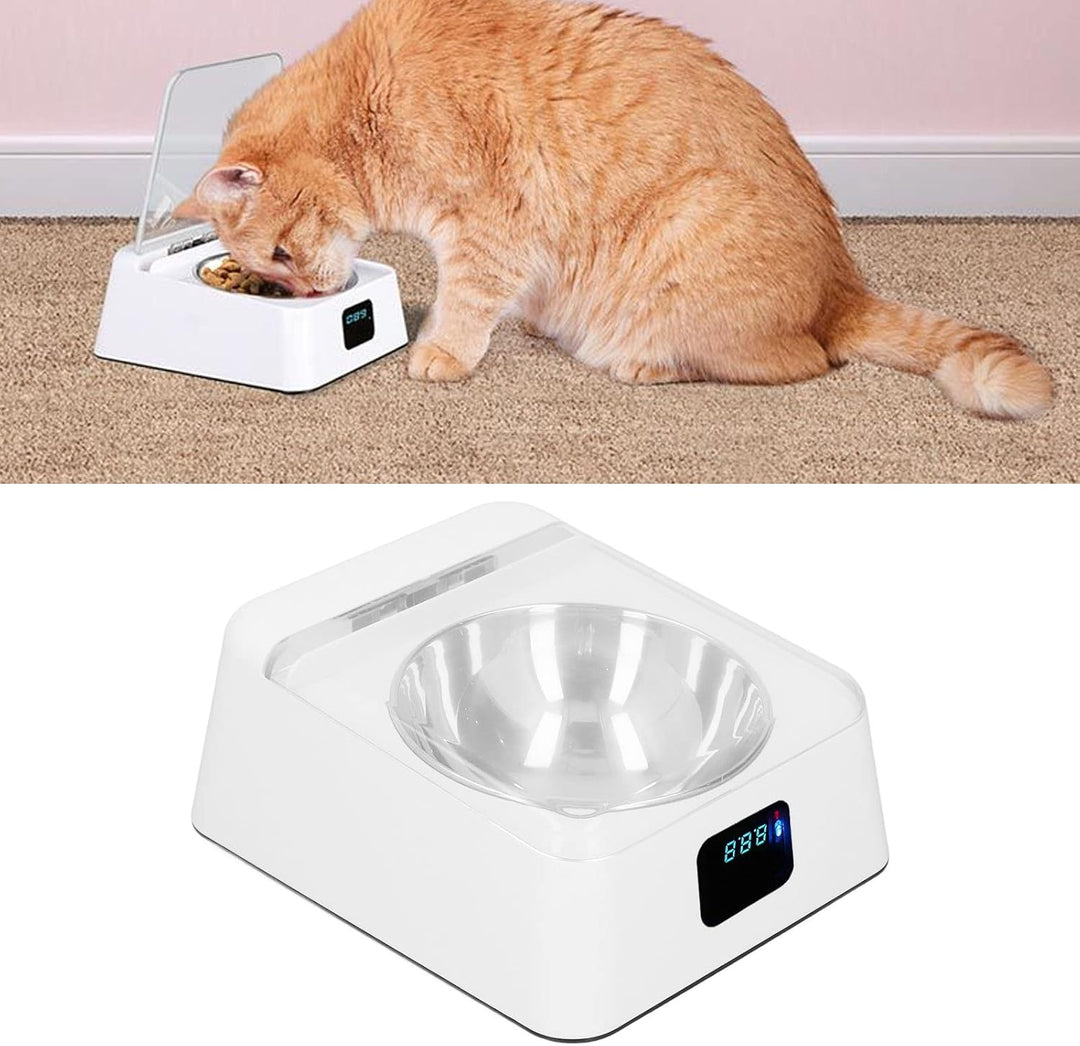 Katzenfutter Automat, Futterautomat Katze Automatisch Katze Futternapf mit Sensor Automatischer Futt