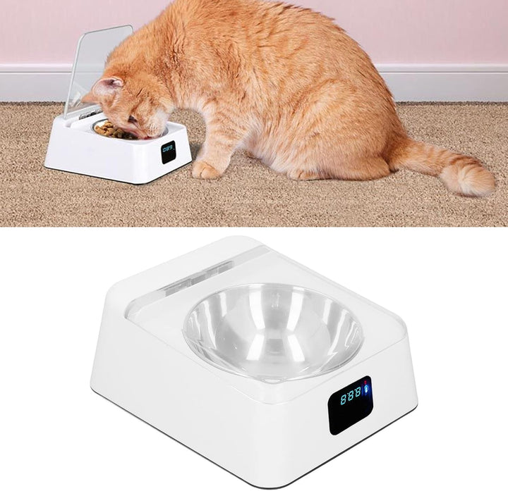 Katzenfutter Automat, Futterautomat Katze Automatisch Katze Futternapf mit Sensor Automatischer Futt