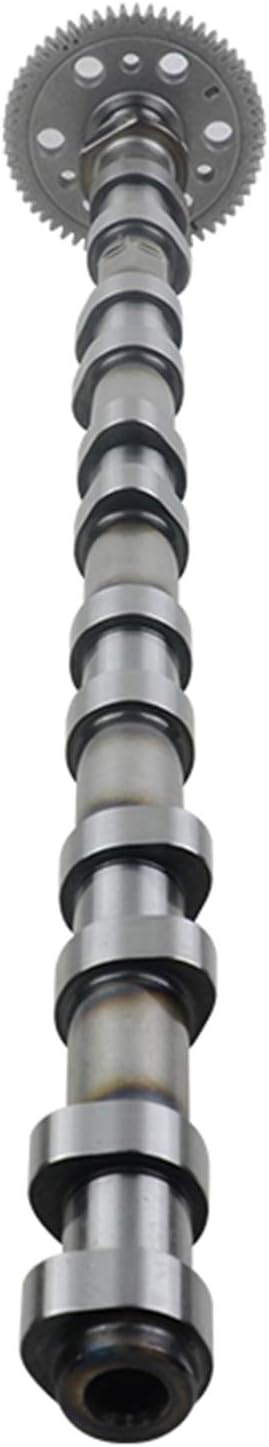 Auslass Nockenwelle 11317791580 Kompatibel mit 3er 5er 6er 7er X3 X5 X6 E46 E90 E91 E92 E93 E39 E60