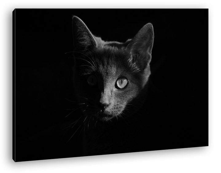 deyoli Dark Schwarze Katze Effekt: Schwarz/Weiss Format: 80x60 als Leinwandbild, Motiv fertig gerahm