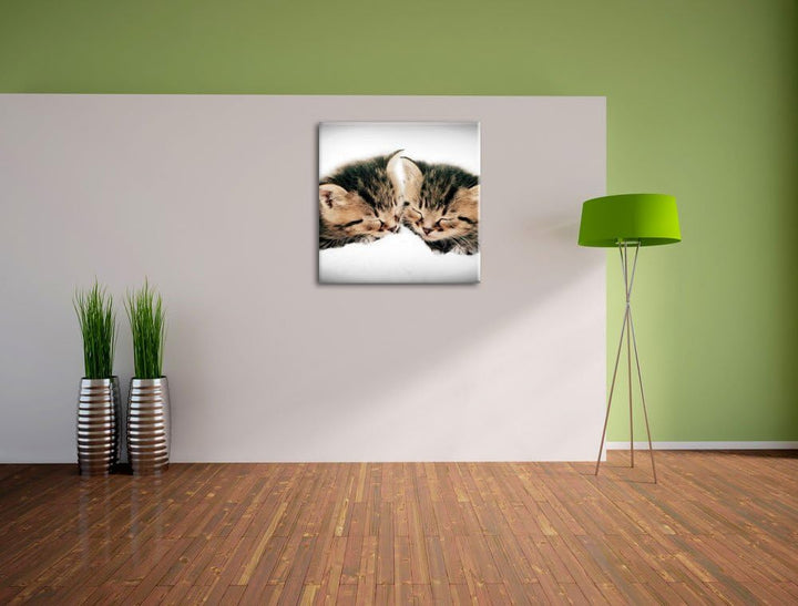 Pixxprint Kleine Süsse Kätzchen kuscheln / 70x70cm Leinwandbild bespannt auf Holzrahmen/Wandbild Kun
