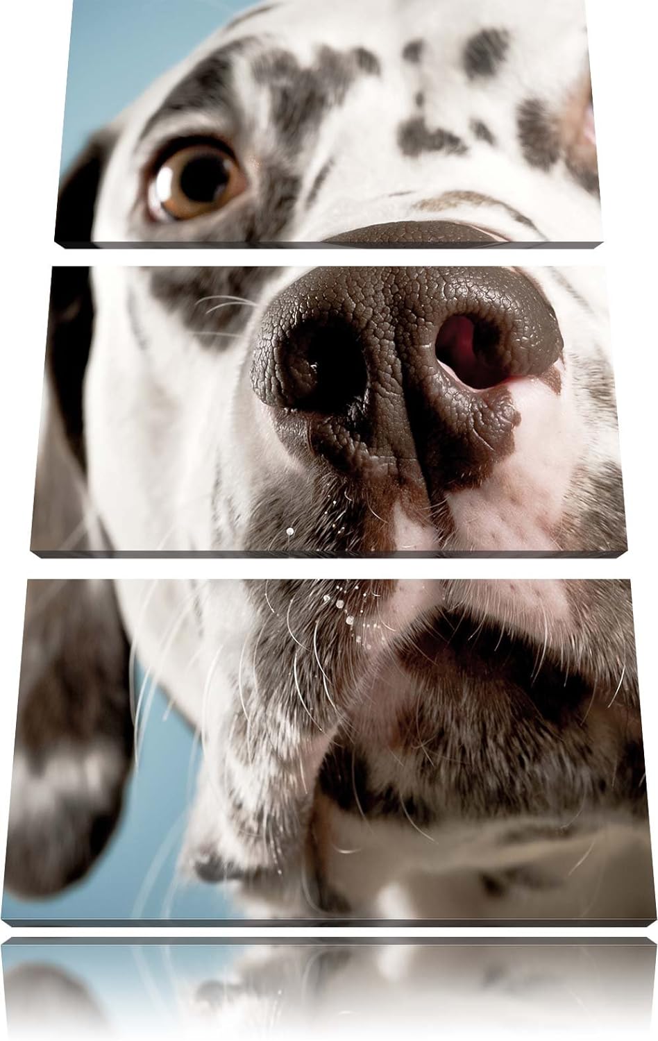 Pixxprint Süsser Dalmatiner als Leinwandbild/Grösse: 3 Teilig (120x80) cm/Wandbild/Kunstdruck/fertig