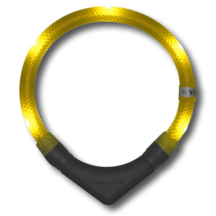 LEUCHTIE® Leuchthalsband Plus Sonnengelb Grösse 45 I LED Halsband für Hunde I 100 h Leuchtdauer I wa