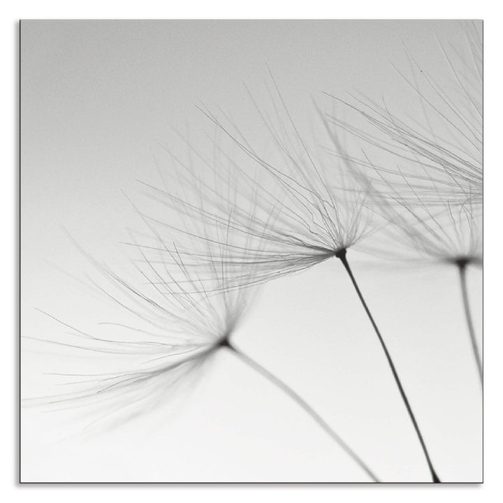 ARTland Spritzschutz Küche aus Alu für Herd Spüle 60x60 cm (BxH) Küchenrückwand mit Motiv Blume Pust